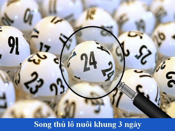 Nuôi lô song thủ khung 3 ngày chiến thuật an toàn từ Soi cầu Vàng - Ảnh 3