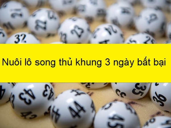 Nuôi lô song thủ khung 3 ngày chiến thuật an toàn từ Soi cầu Vàng - Ảnh 2