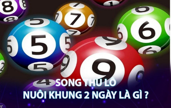 Song thủ lô nuôi khung 2 ngày bí quyết chơi thông minh - Ảnh 2